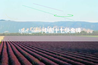 通许中国十七块金牌
