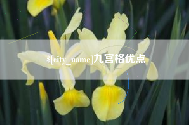 通许九宫格优点