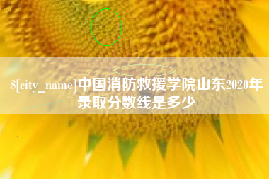 通许中国消防救援学院山东2020年录取分数线是多少