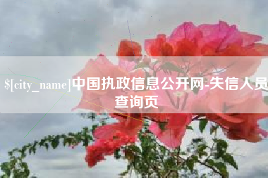 通许中国执政信息公开网-失信人员查询页