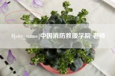 通许中国消防救援学院 老师