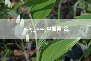 通许中国第9金