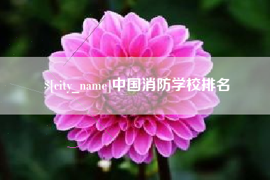 通许中国消防学校排名