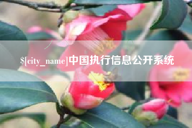 通许中国执行信息公开系统