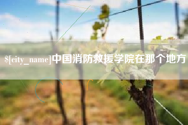 通许中国消防救援学院在那个地方