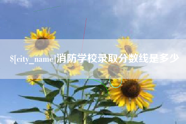 通许消防学校录取分数线是多少