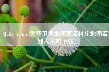 通许免费卫星地图高清村庄地图看到人实时下载