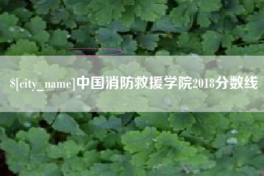 通许中国消防救援学院2018分数线