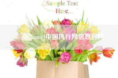 通许中国执行网信息官网