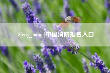 通许中国消防报名入口