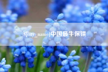 通许中国最牛保镖