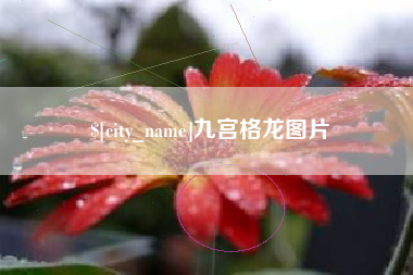 通许九宫格龙图片