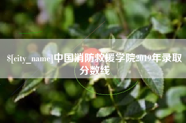 通许中国消防救援学院2019年录取分数线