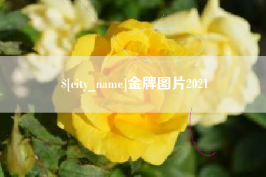 通许金牌图片2021