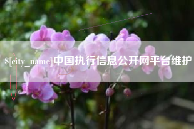通许中国执行信息公开网平台维护