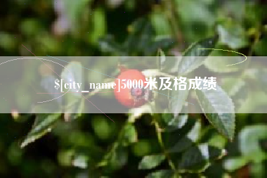 通许5000米及格成绩