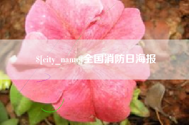 通许全国消防日海报