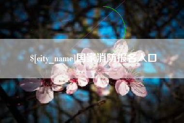 通许国家消防报名入口