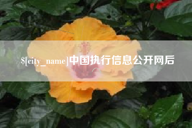 通许中国执行信息公开网后