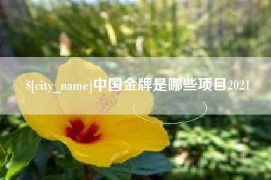 通许中国金牌是哪些项目2021