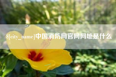 通许中国消防网官网网址是什么