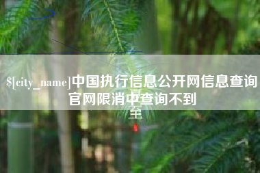 通许中国执行信息公开网信息查询官网限消中查询不到