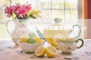 通许中国消防救援学院分数2020