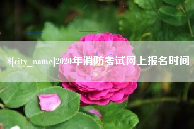 通许2020年消防考试网上报名时间