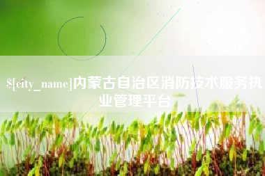 通许内蒙古自治区消防技术服务执业管理平台