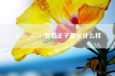 通许看看王子豪长什么样