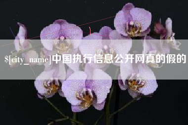 通许中国执行信息公开网真的假的