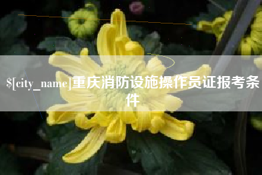 通许重庆消防设施操作员证报考条件