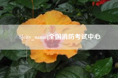 通许全国消防考试中心