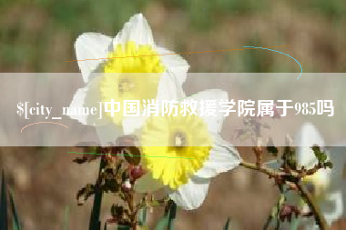 通许中国消防救援学院属于985吗