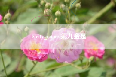 通许第九金是