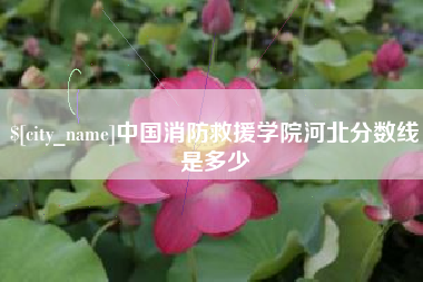 通许中国消防救援学院河北分数线是多少