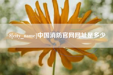 通许中国消防官网网址是多少