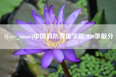 通许中国消防救援学院2020录取分