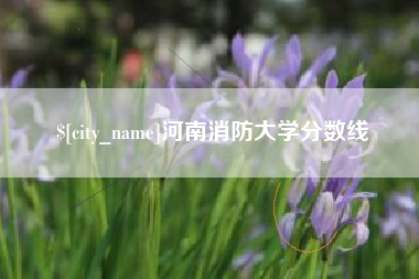通许河南消防大学分数线