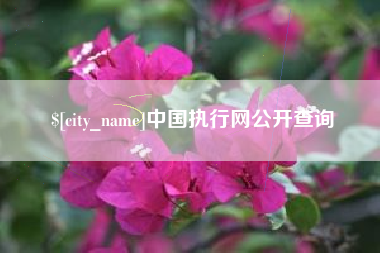 通许中国执行网公开查询