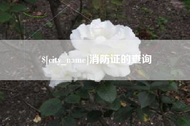 通许消防证的查询