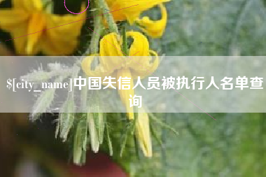 通许中国失信人员被执行人名单查询