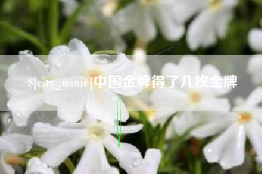 通许中国金牌得了几枚金牌