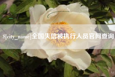 通许全国失信被执行人员官网查询