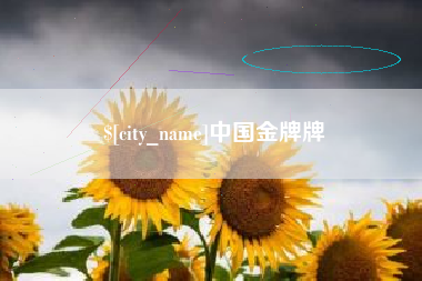 通许中国金牌牌