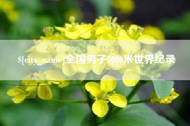 通许全国男子5000米世界纪录