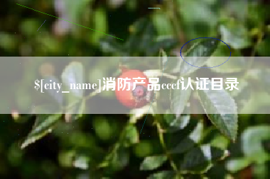 通许消防产品cccf认证目录