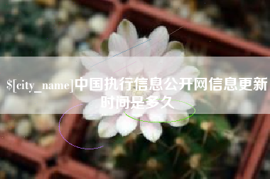 通许中国执行信息公开网信息更新时间是多久