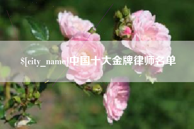 通许中国十大金牌律师名单