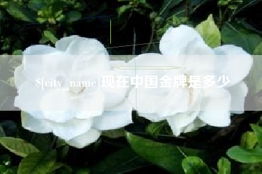 通许现在中国金牌是多少